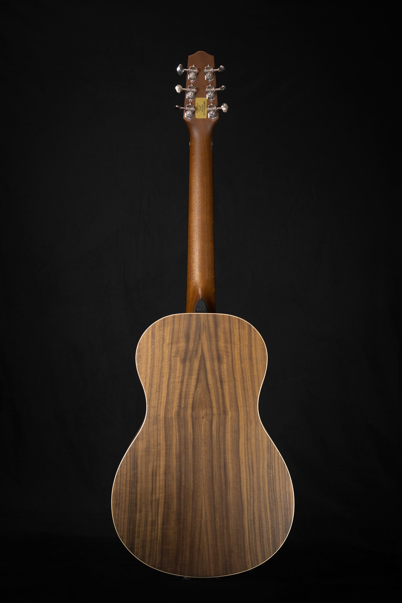 Dowina Sol BV Parlour Acoustic Guitar Full Body Back