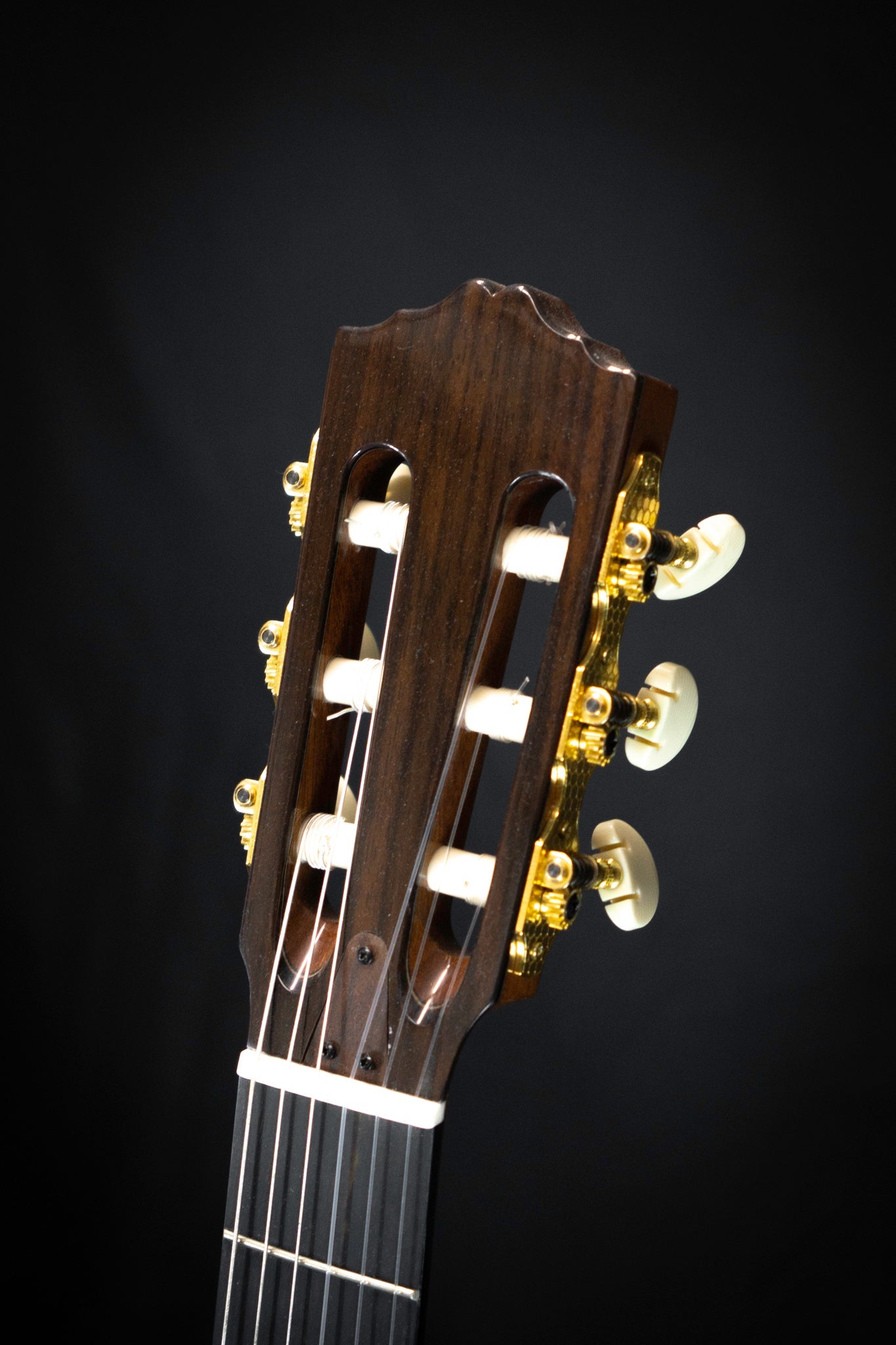 Salvador Cortez CS 245 Classical Guitar Headstock Front