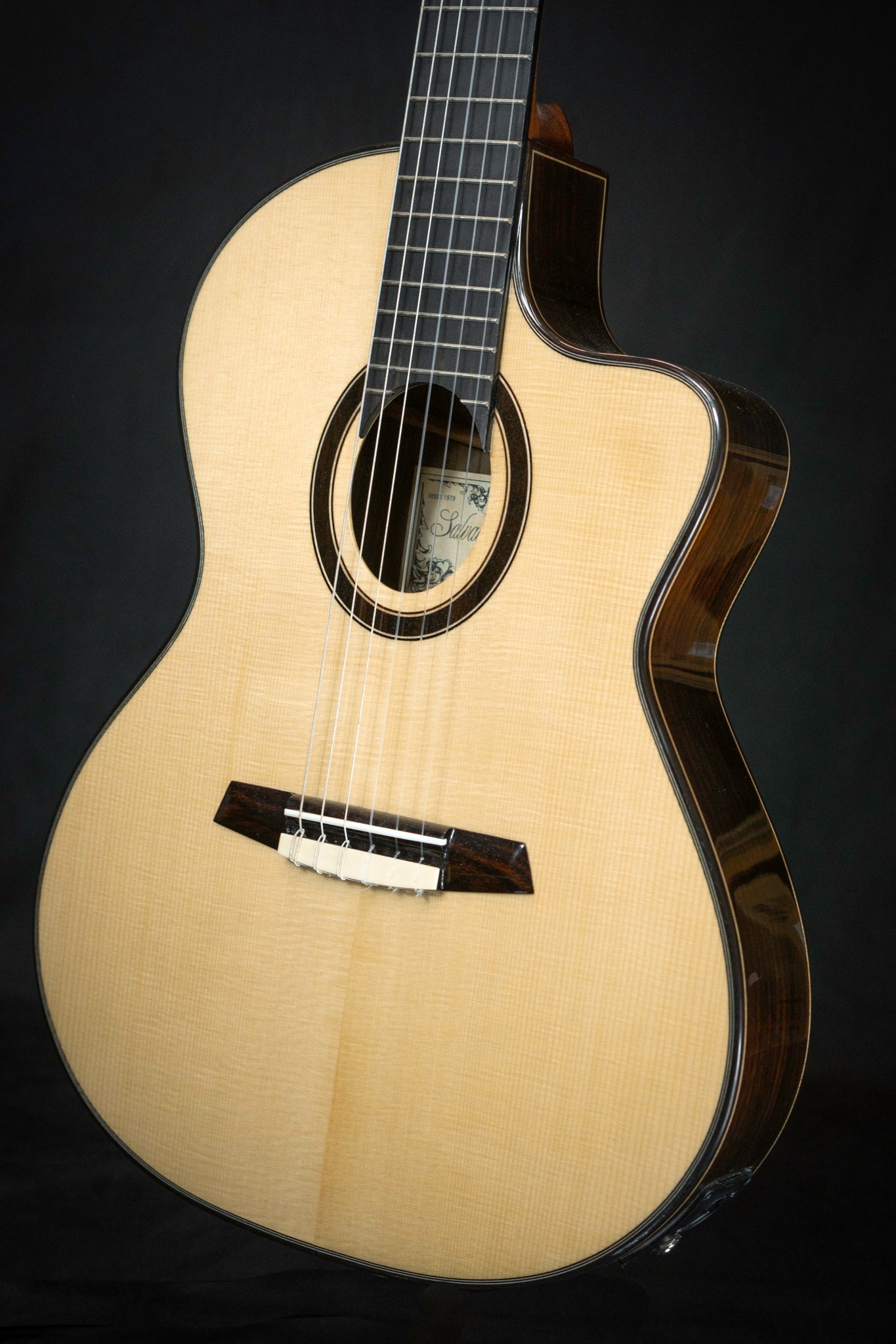 Salvador Cortez CS 245 Classical Guitar Body Angled