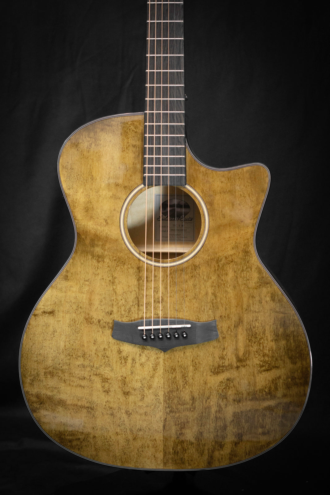 Tanglewood TVC X MP Acoustic Guitar
